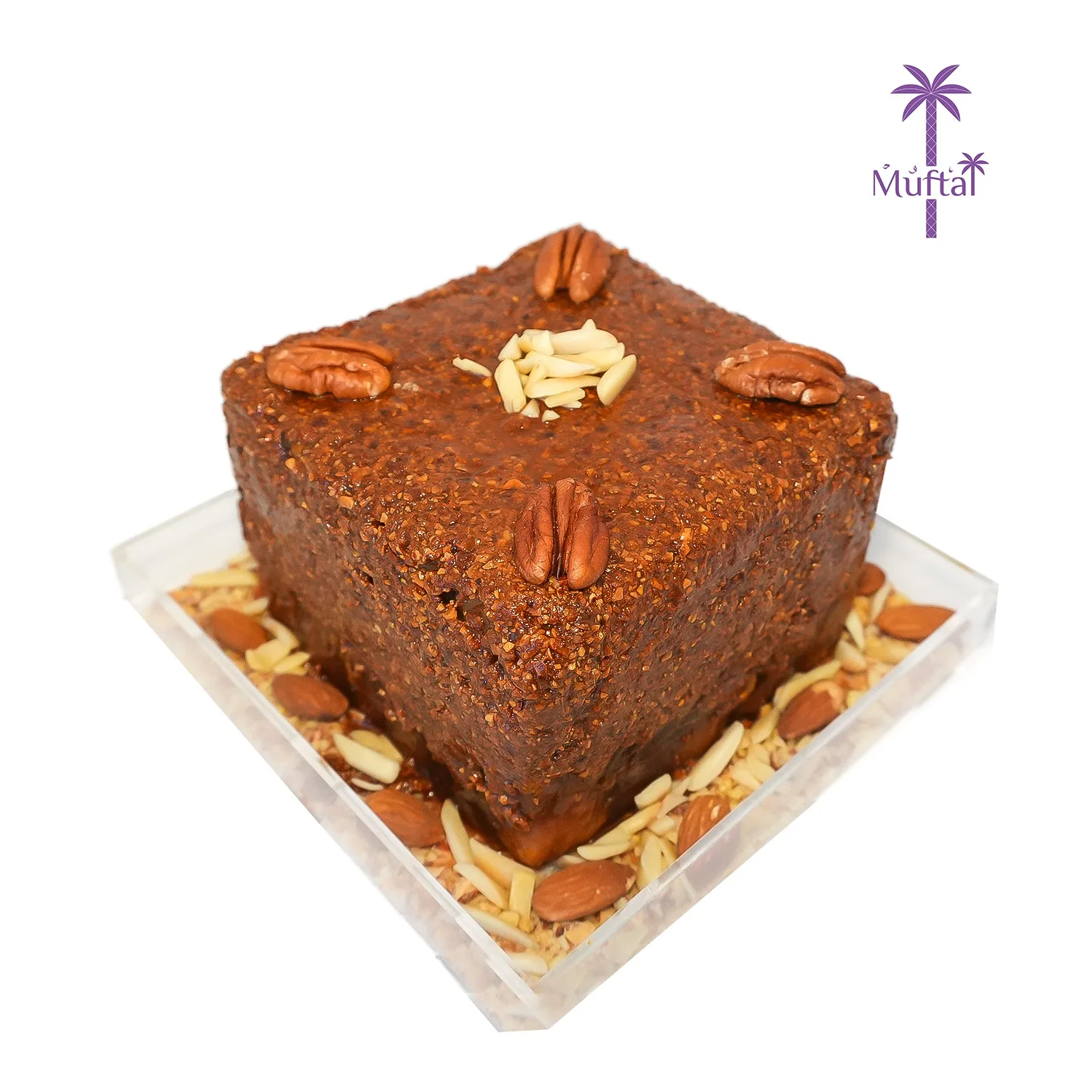 ⁦مفتل اوملو مغربي (ميني)⁩ - الصورة ⁦1⁩